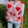 Tied Heart Vest with Pockets | Hanalas