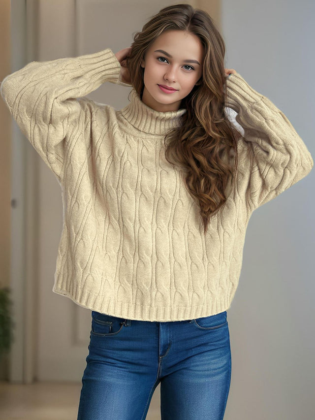 Cable-Knit Turtleneck Long Sleeve Sweater Trendsi Hanalas