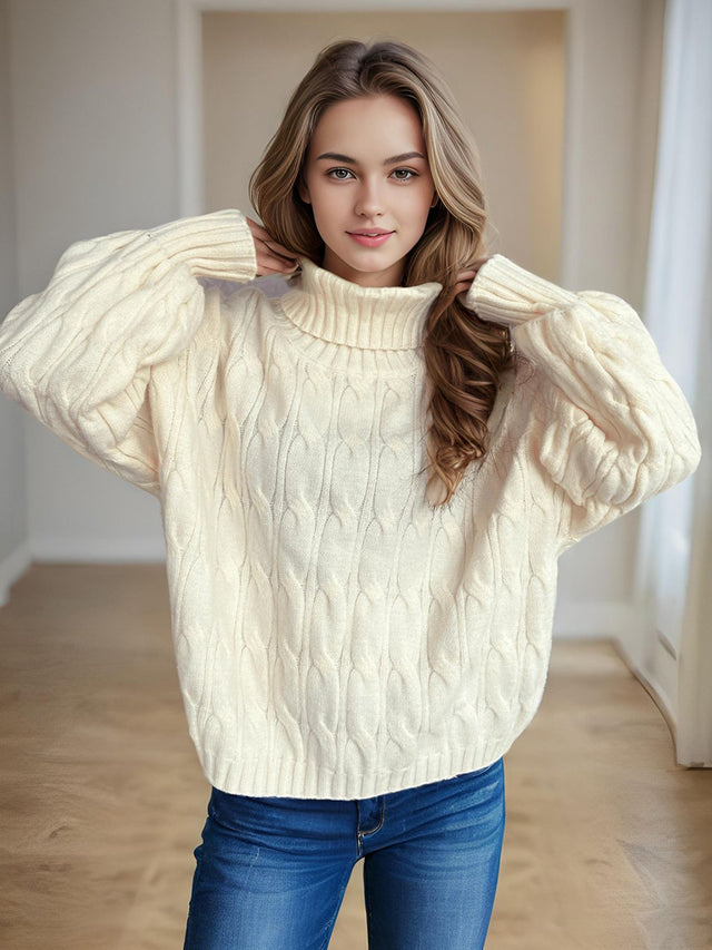 Cable-Knit Turtleneck Long Sleeve Sweater Trendsi Hanalas