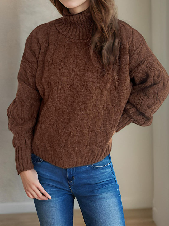 Cable-Knit Turtleneck Long Sleeve Sweater Trendsi Hanalas