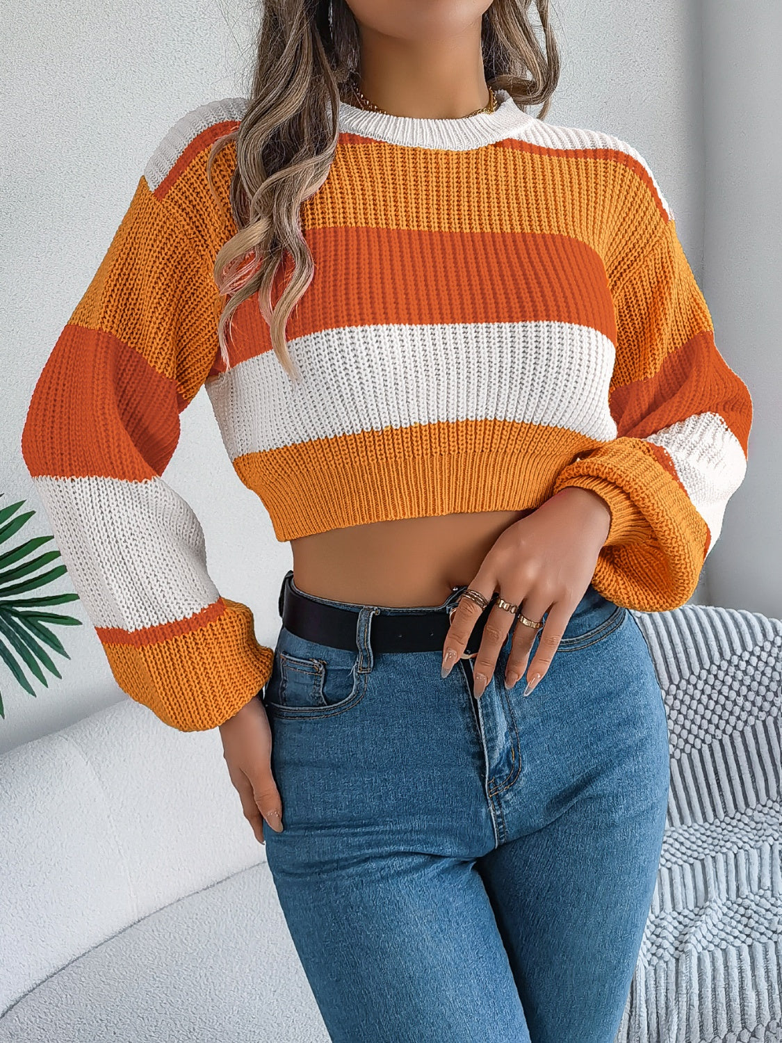 Color Block Round Neck Cropped Sweater