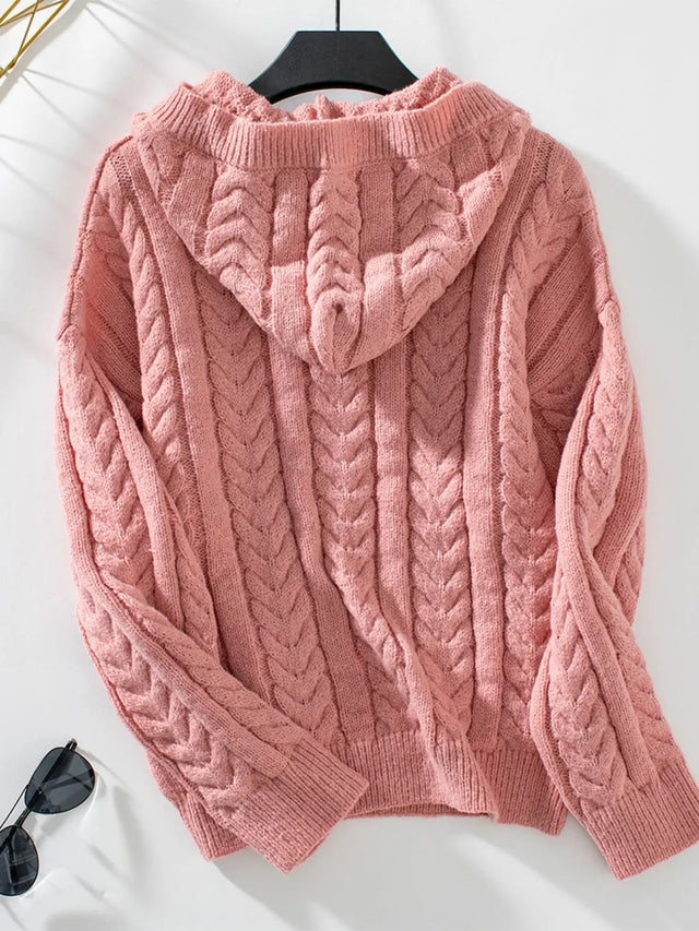 Cable-Knit Long Sleeve Hooded Sweater Trendsi Hanalas