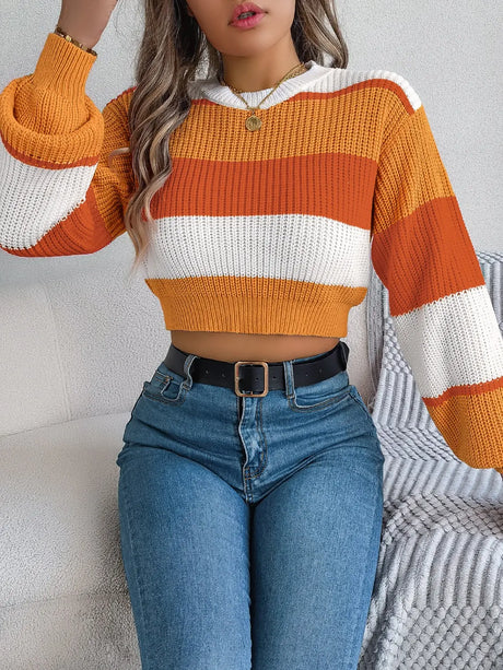 Color Block Round Neck Cropped Sweater Trendsi Hanalas