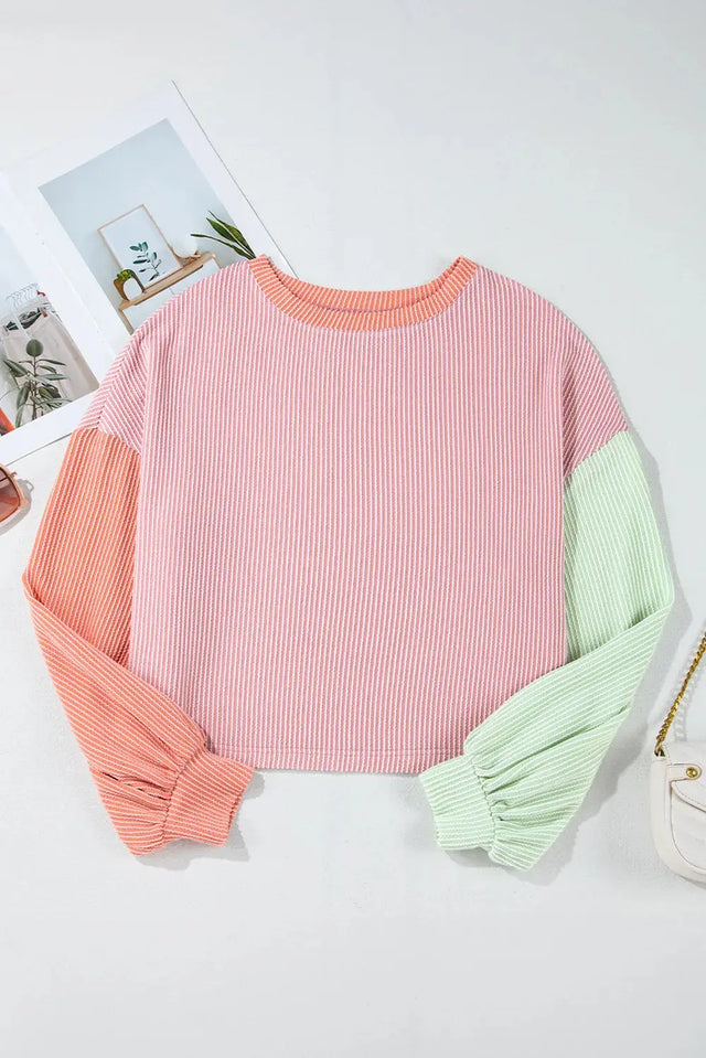 Color Block Round Neck Long Sleeve Top Trendsi Hanalas