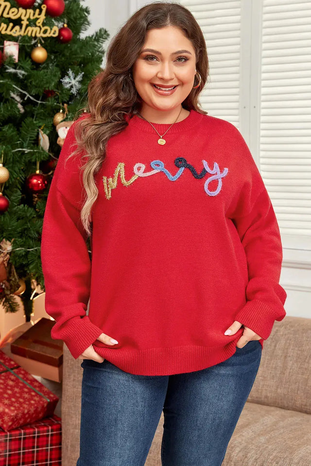 Plus Size MERRY Round Neck Long Sleeve Sweater Trendsi Hanalas