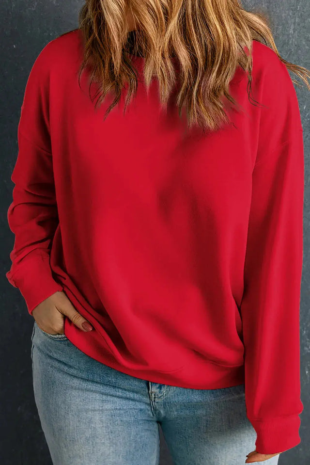 Plus Size Round Neck Long Sleeve Sweatshirt Trendsi Hanalas