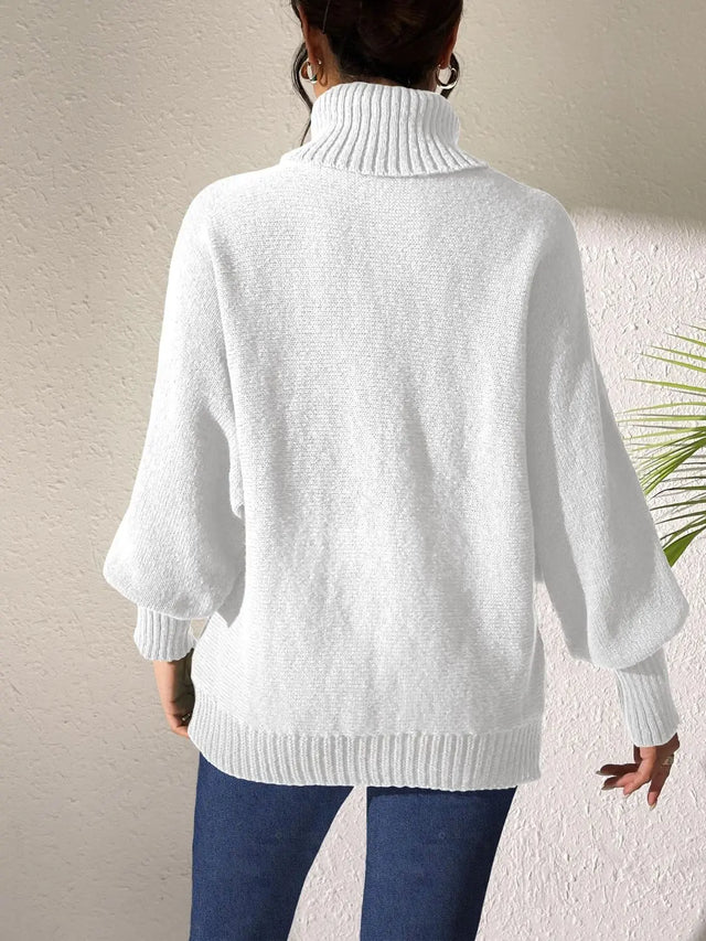 Turtleneck Long Sleeve Sweater Trendsi Hanalas