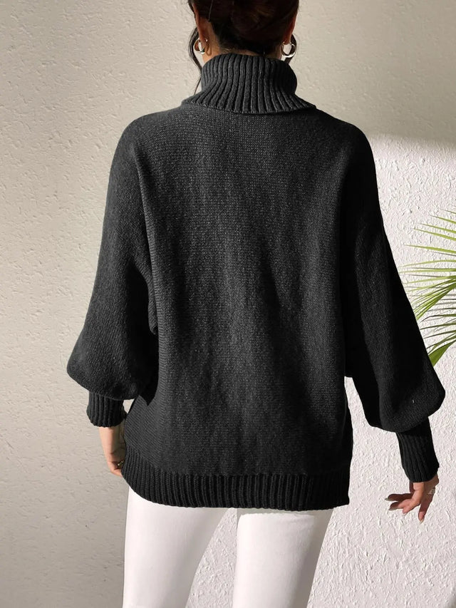 Turtleneck Long Sleeve Sweater Trendsi Hanalas