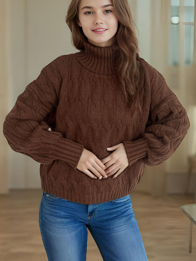 Cable-Knit Turtleneck Long Sleeve Sweater Trendsi Hanalas