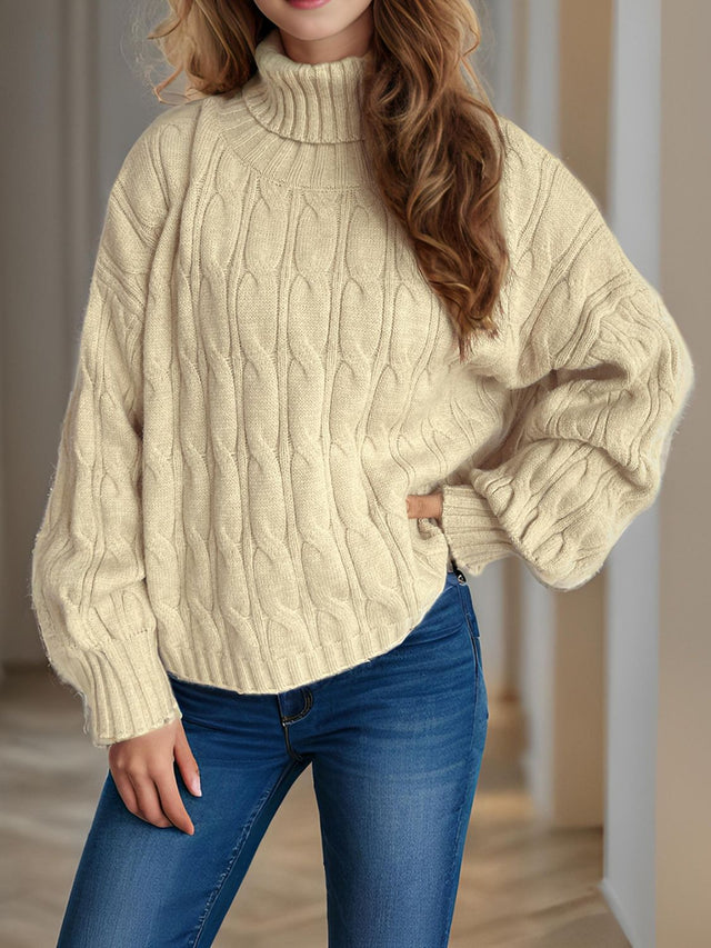 Cable-Knit Turtleneck Long Sleeve Sweater Trendsi Hanalas