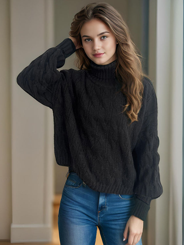 Cable-Knit Turtleneck Long Sleeve Sweater Trendsi Hanalas