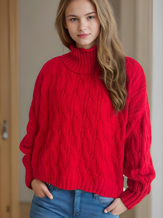 Cable-Knit Turtleneck Long Sleeve Sweater Trendsi Hanalas