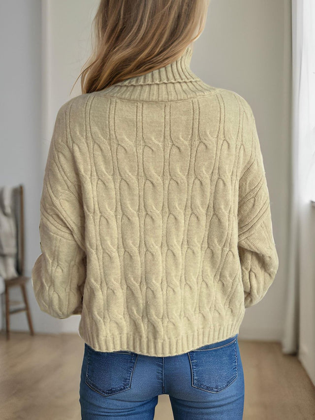 Cable-Knit Turtleneck Long Sleeve Sweater Trendsi Hanalas